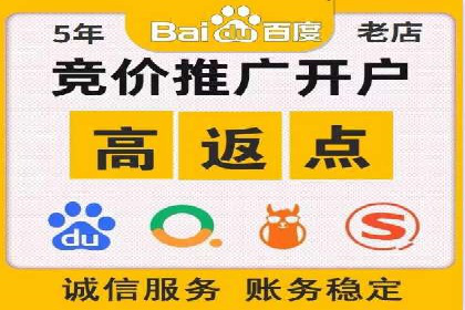 某知名品牌网络推广竞价全解析